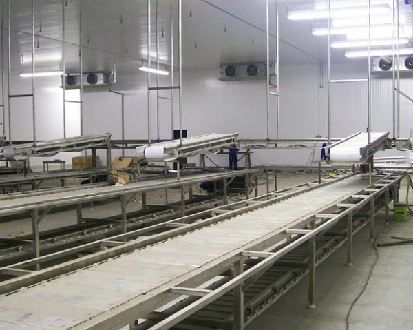 Montagem de Sala de Desossa